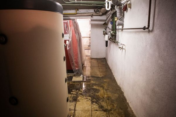 h1054Arbeitseinsatz30032019.jpg