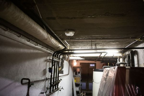 h1053Arbeitseinsatz30032019.jpg