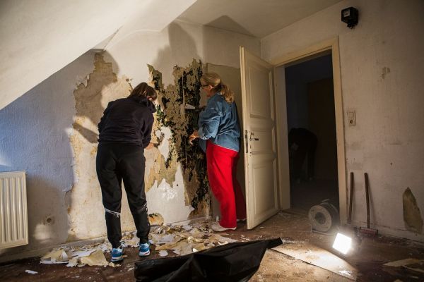 h9275Arbeitseinsatz24112018.jpg