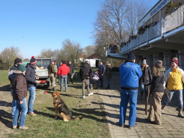 RRK Baumschnitt Aktion